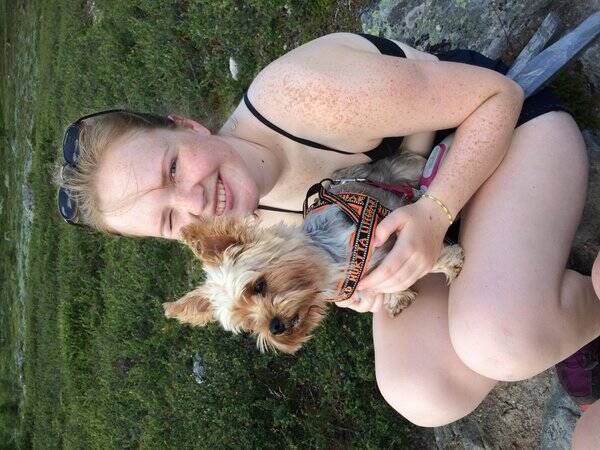 Hund