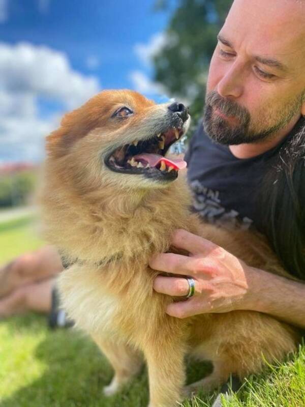 Hund