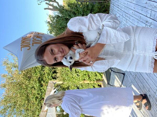 Hund Hund