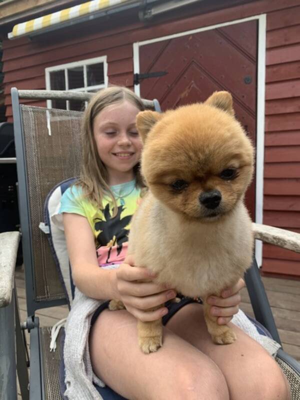 Hund