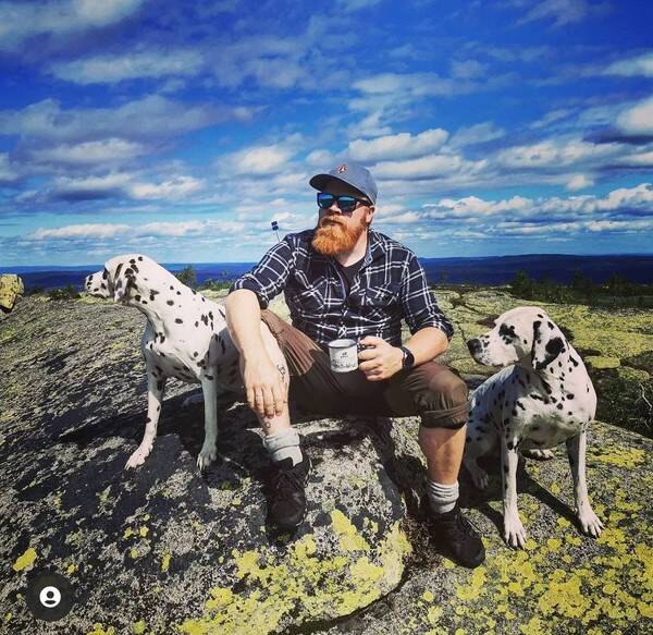 Hund - Dalmantiner Hund - Dalmantiner