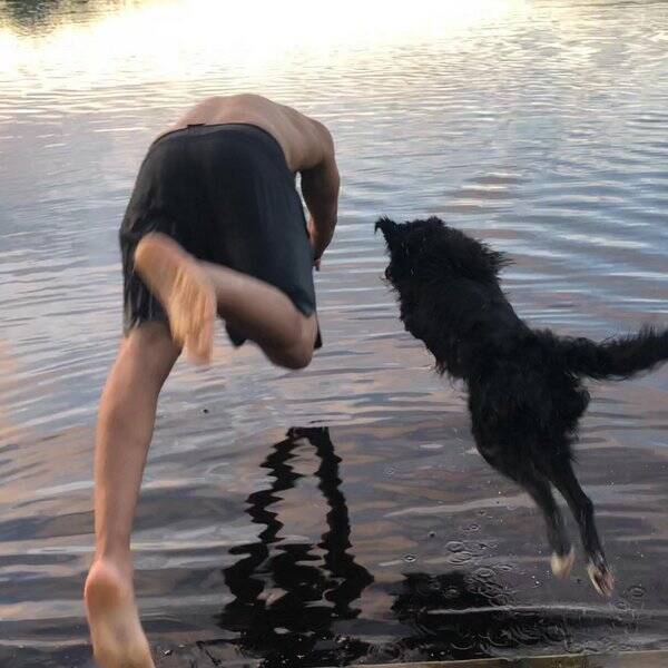 Hund
