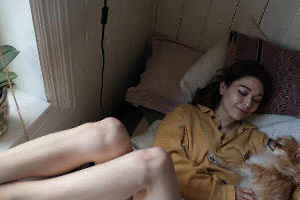 Hund - Pomeranian/kleinspitz Zelda