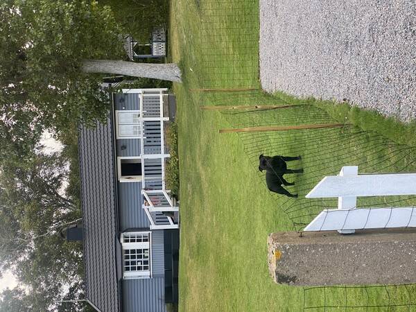 Sommarstuga - Falkenberg 