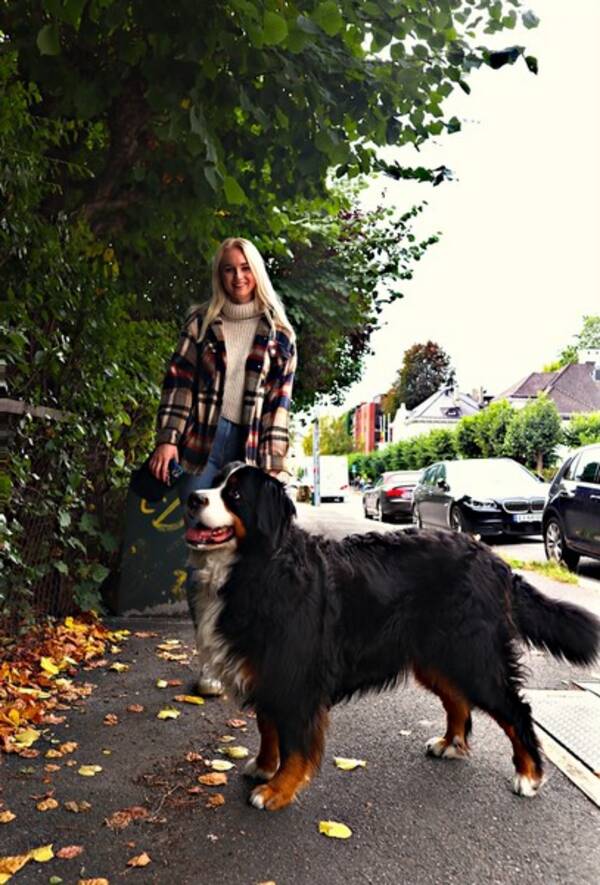 Hund - Berner Sennen (Bernese Mountain dog) 