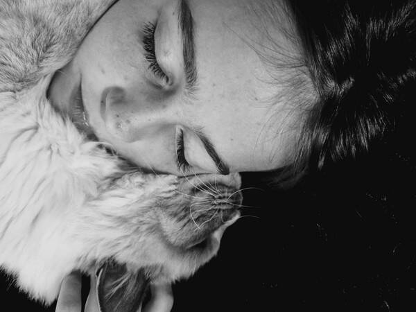 Katt