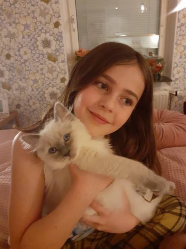 Katt