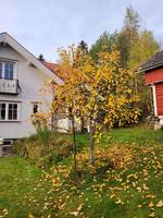 Villa i Nes  Villa i Nes