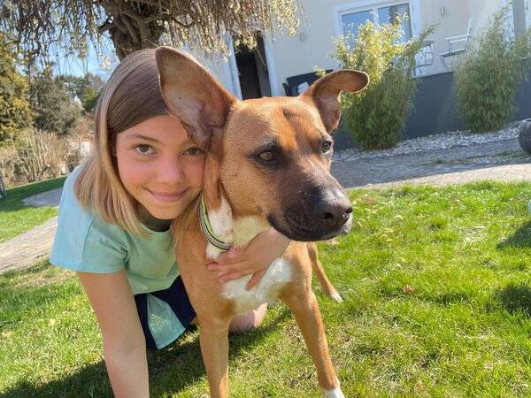 Hund