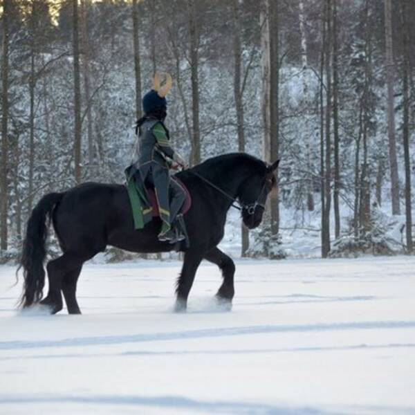 Övrigt - Hästen Oleanders Milan