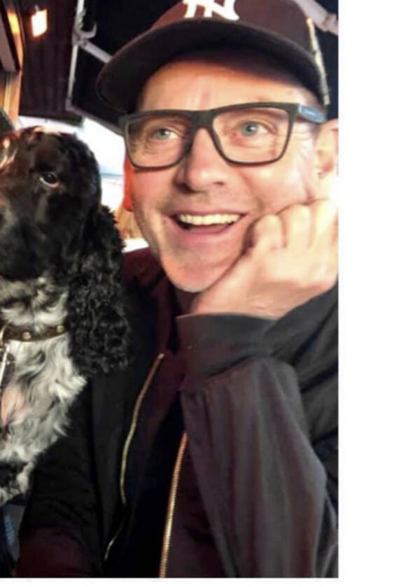 Hund - Cocker Spaniel