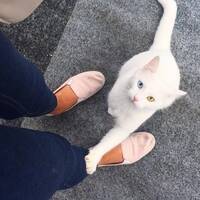Zimba