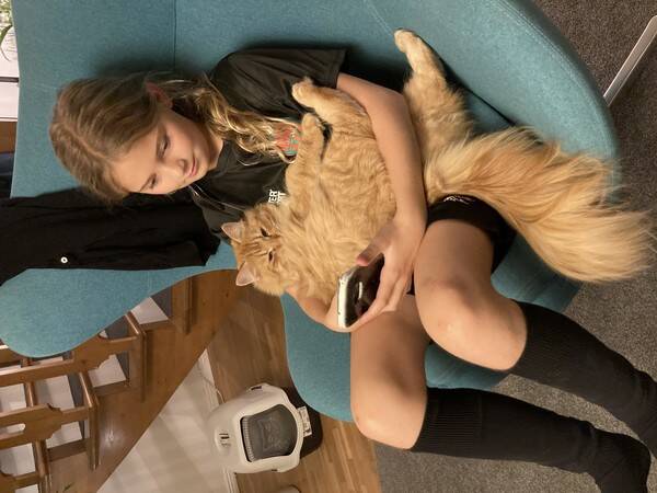 Katt - Mysigaste katten nånsin
