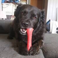 Mix Diego  Mix Diego