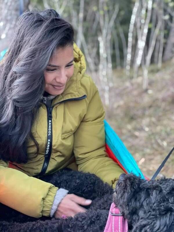 Hund - Australsk Cobberdog