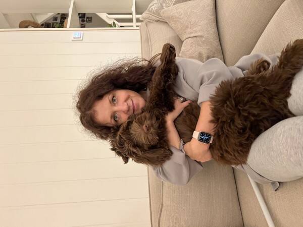 Hund - Australsk Cobberdog