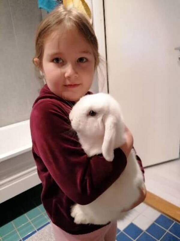 Övrigt - Vår kanin Reggie