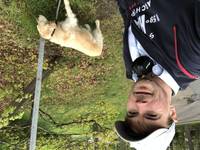 Golden retrievern Wilma