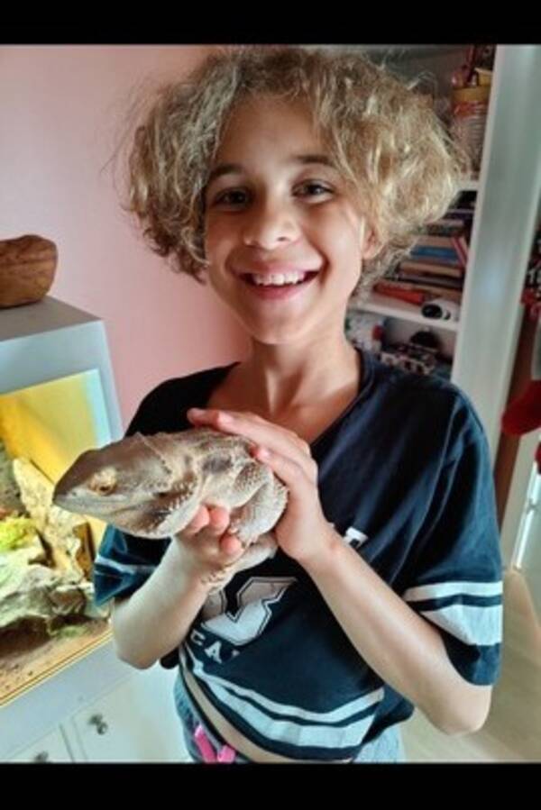 Annet - Skjeggagam  Annet - Skjeggagam