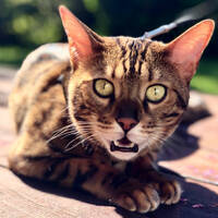 Oscar Benruno Oscar Benruno