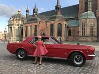 Förd Mustang 1966 Förd Mustang 1966