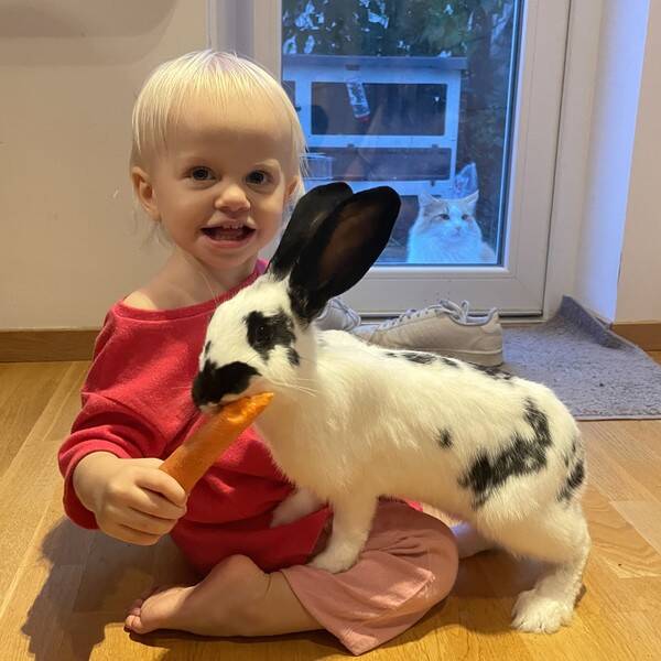 Övrigt - Kaninen Allis Övrigt - Kaninen Allis