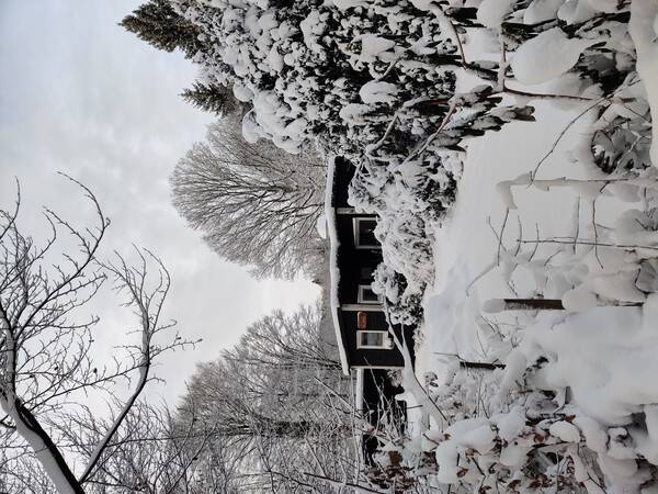 Sommarstuga - I hallndska skogen