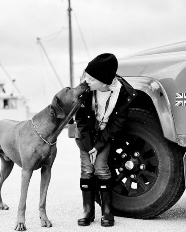 Hund - My lovely dog