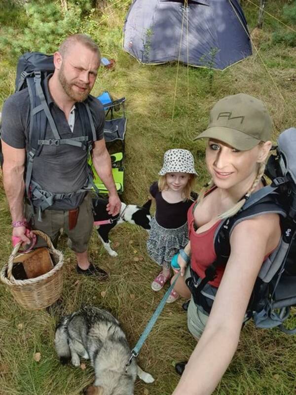 Hund - Siberian husky