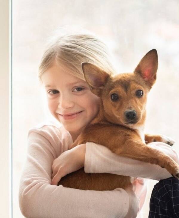 Hund - Podengon Nomi