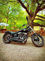 Harley Davidson 