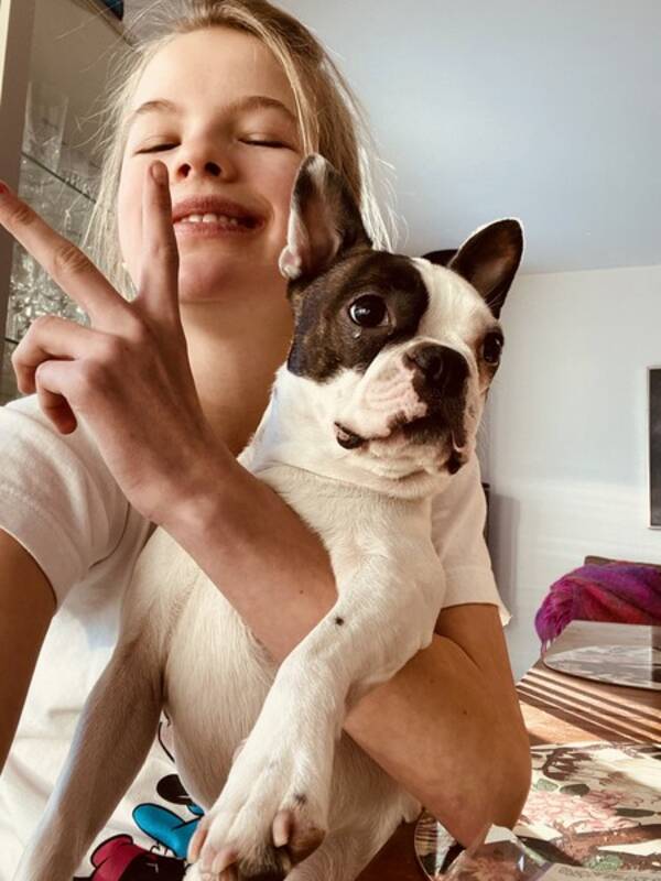 Hund