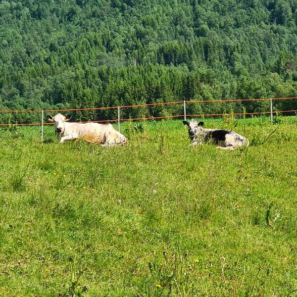 Revisitter - Kyr Revisitter - Kyr