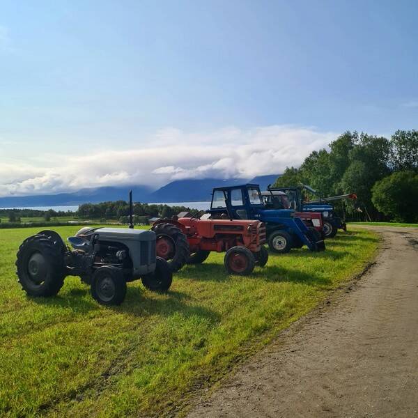 Kjøretøy - Div traktorer Kjøretøy - Div traktorer