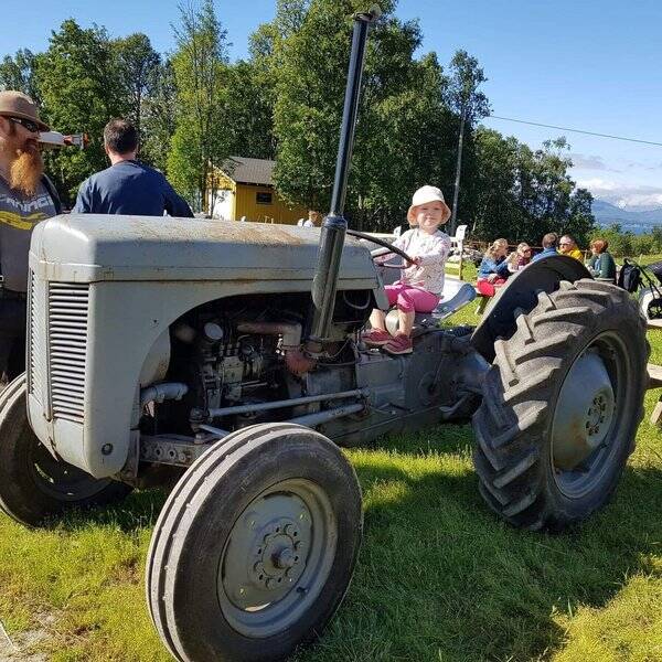 Kjøretøy - Div traktorer Kjøretøy - Div traktorer