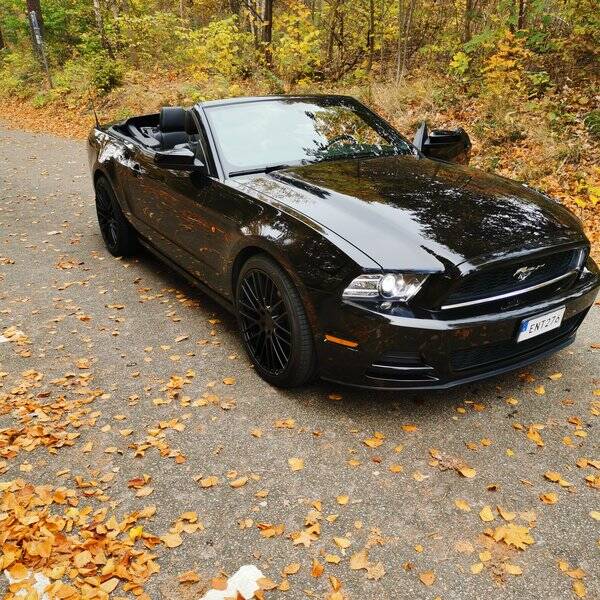 Fordon - Mustang cab