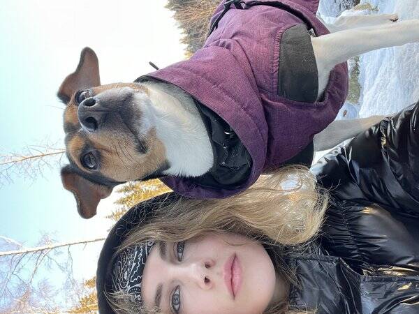 Hund - Stella - Dansk/ svensk gårdshund 