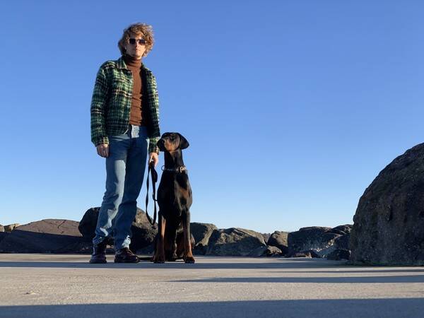 Hund - Diezel - Dobermann