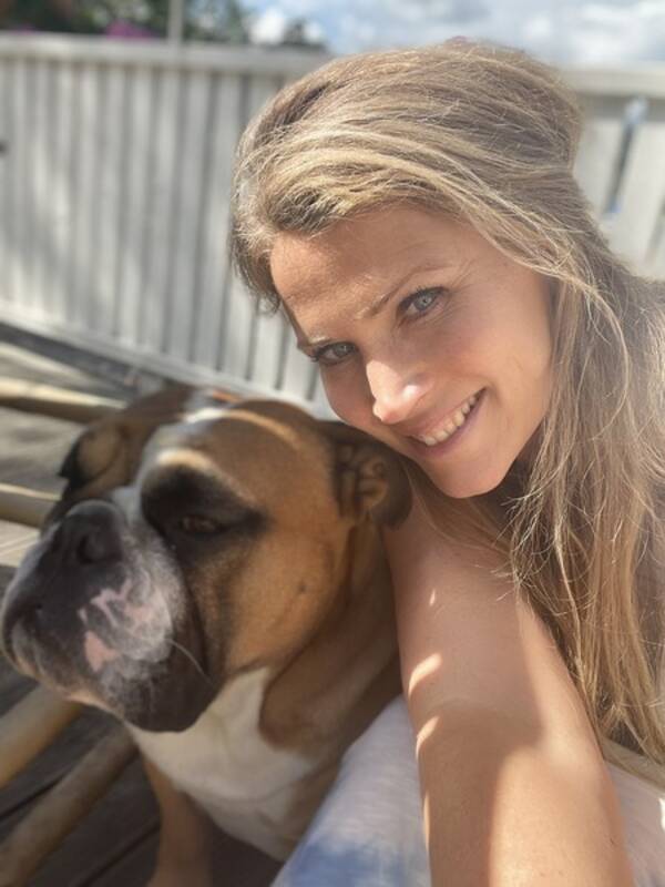 Hund - Engelsk bulldog