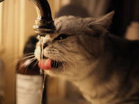 Hils på Børsen Hils på Børsen