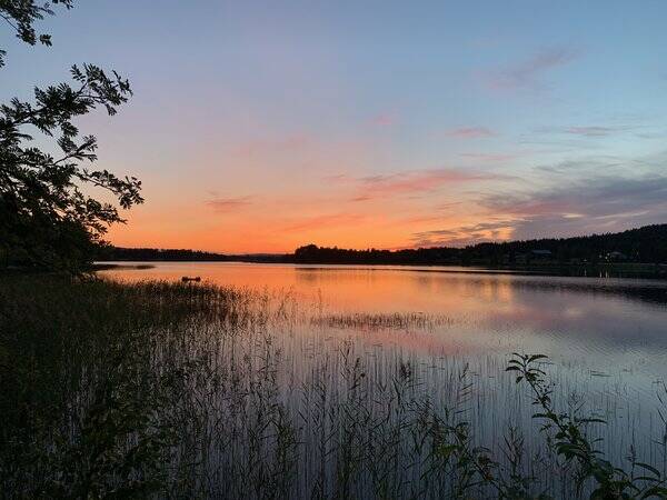 Sommarstuga