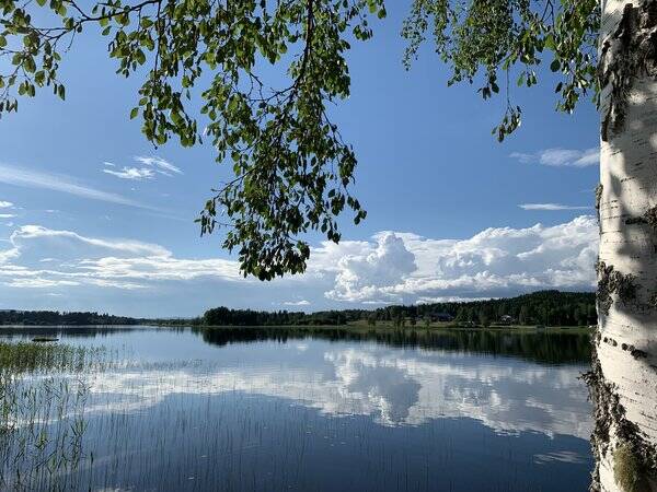 Sommarstuga