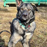 Tre unika själar Tre unika själar