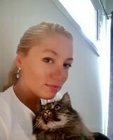 Norsk skogskatt  Norsk skogskatt