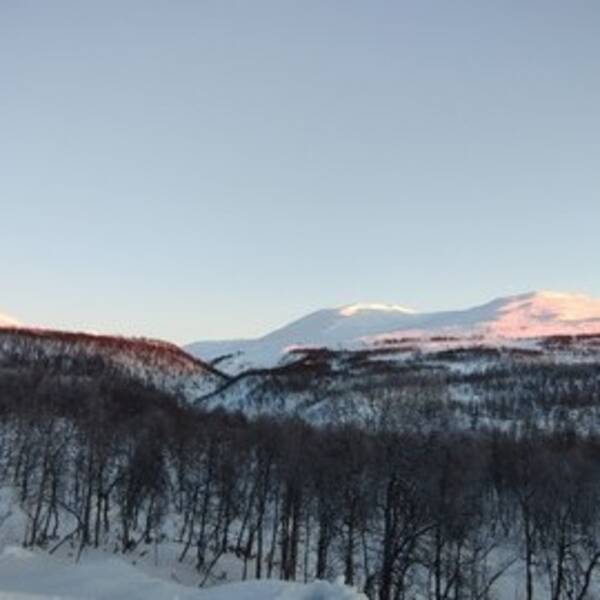 vrigt - Mngder av platser i fjllmilj och vild