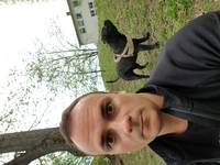 Engelsk staffordshire bullterier Engelsk staffordshire bullterier