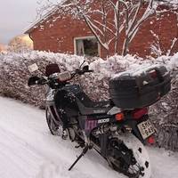 Suzuki DR800