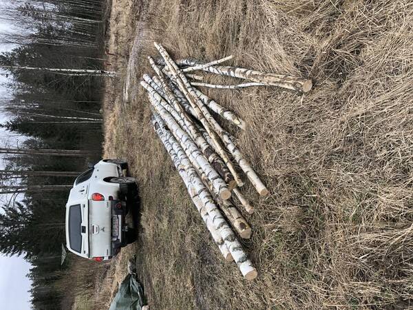Fordon - Mitsubishi L200 pick up