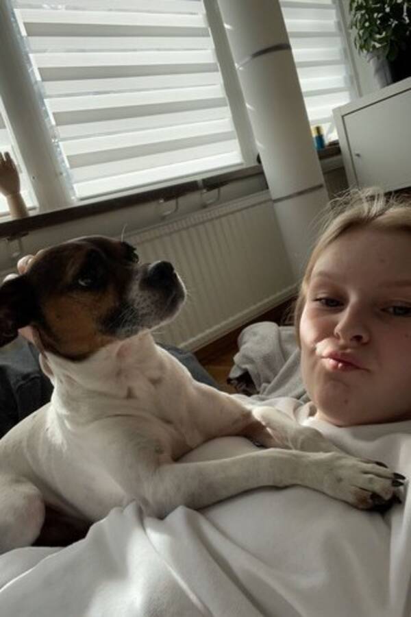 Hund - Baloo