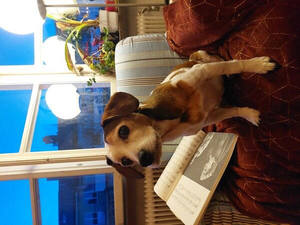 Lägenhet - 34kvm Lägenhet Kungsholmen Lägenhet - 34kvm Lägenhet Kungsholmen